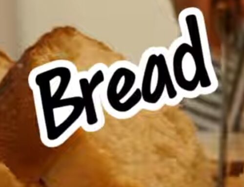 Healthy Homemade Bread with Just 4 Ingredients!🍞 #HomemadeBread #WholeWheatBread #HealthyEating